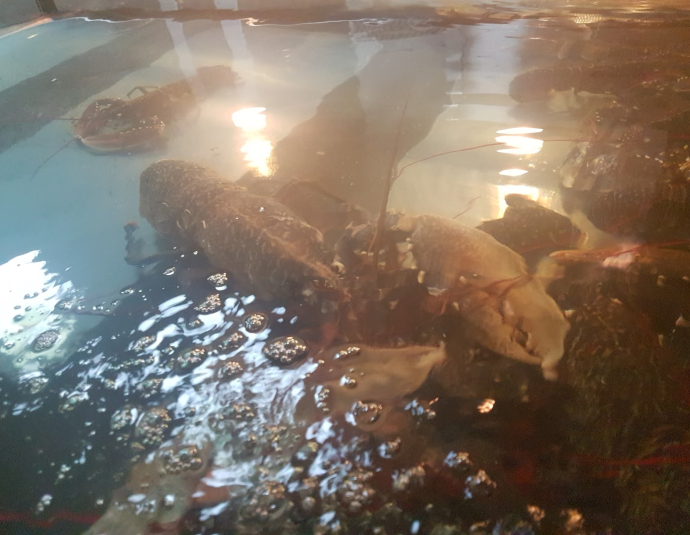 Patron de la Mer Restaurant