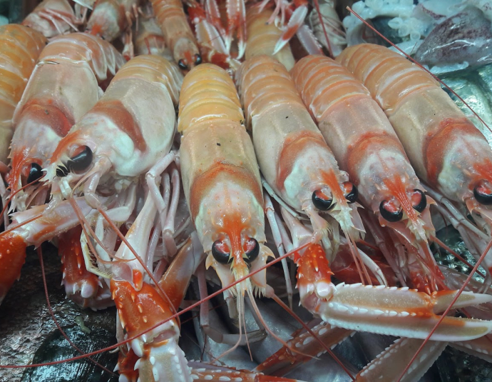 Restaurant Abbas - Maison de Poisson et Fruits de Mer