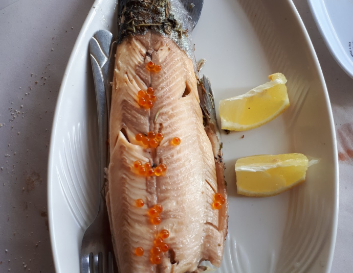 Restaurant Annour Chez hassan spécialité truite