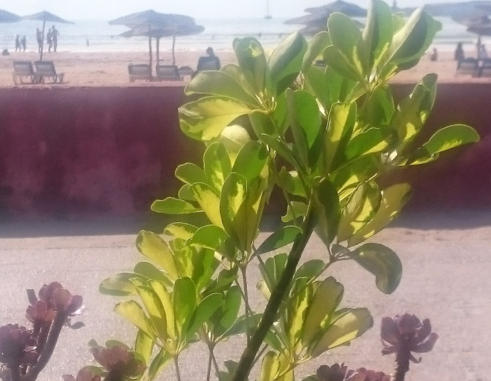 Restaurant De La Baie