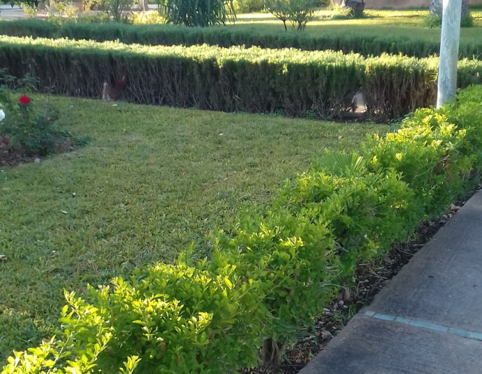 School Des Mines De Marrakech