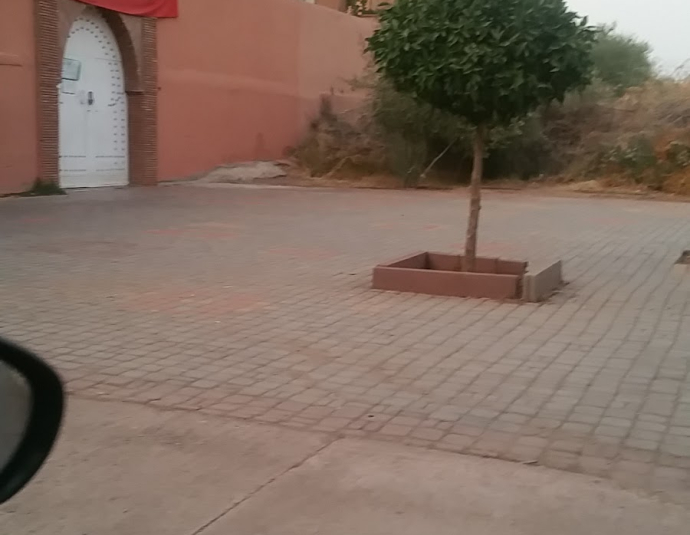 School Group Assabila