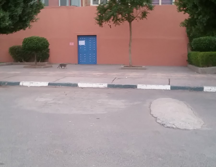 School Group Assabila