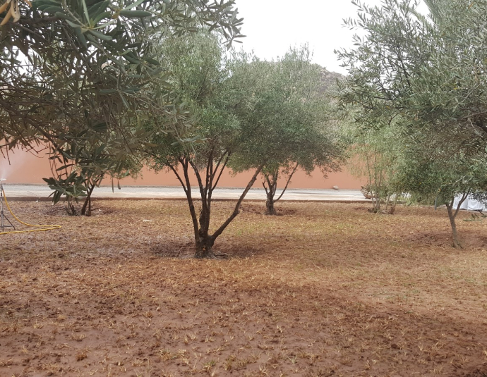 Université Cadi Ayyad (Présidence, Marrakech)