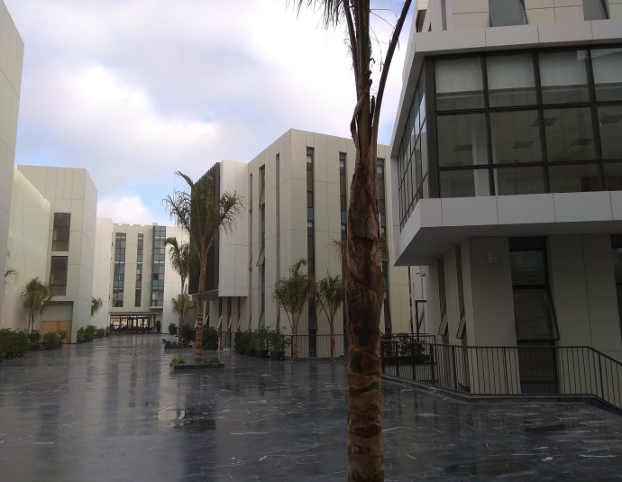 Université Internationale Abulcasis des Sciences de la Santé ( UIASS )