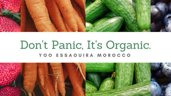 Yoo Essaouira Healthy Food