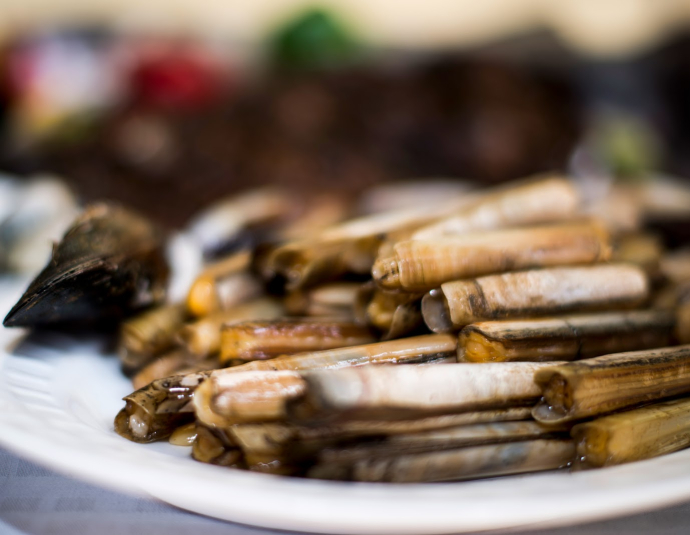 Zahra's Grill Essaouira Restaurant