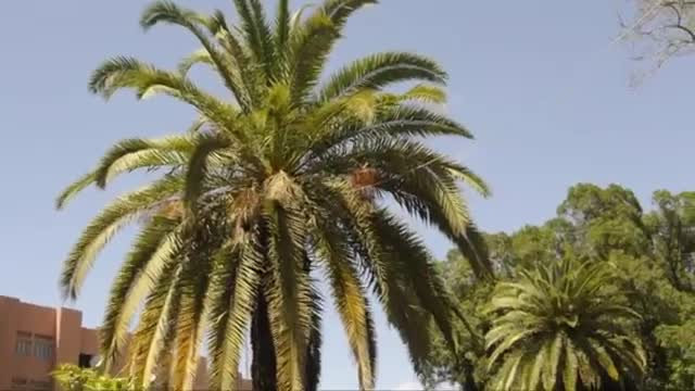El Kelaat Es-Sraghna 2014