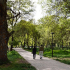 Ifrane > Le Parc National d'Ifrane