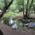 Ifrane > Le sorgenti Vittel