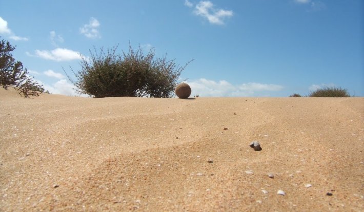 Album photo Sidi M'hamed Dalil