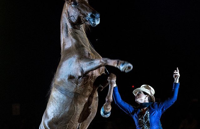 Salon du cheval d'El Jadida - édition 2014