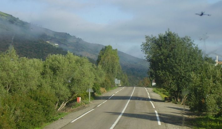 Album photo Laghdir
