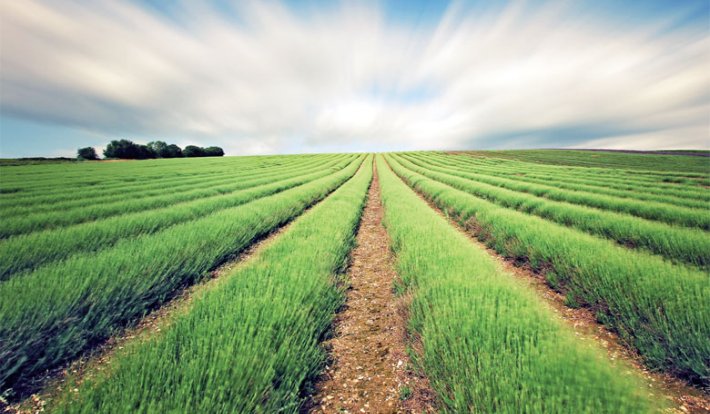Présentation de l'état d'avancement du projet d'utilisation des eaux usées traitées pour l'irrigation