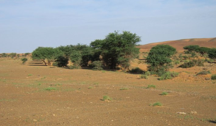 Album photo Jdiriya