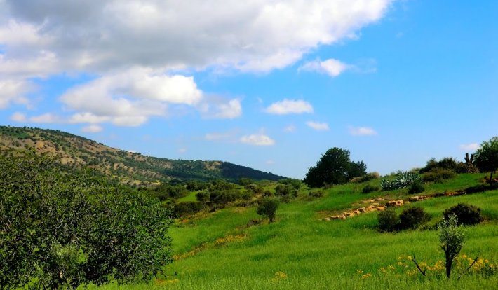 Album photo Oualili / Volubilis 