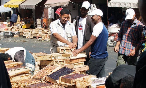 Des dattes variées, mais chères