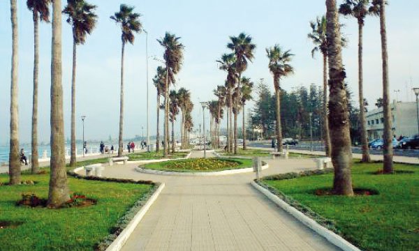 El Jadida se met au vert