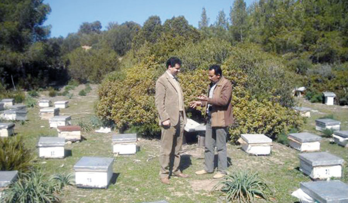 À la recherche d’un nouveau souffle pour l’apiculture
