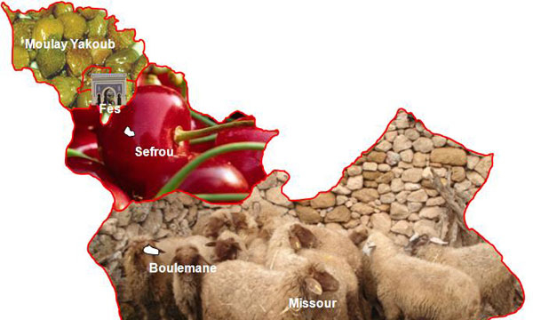 Les produits du terroir mis en valeur à Fès-Boulemane