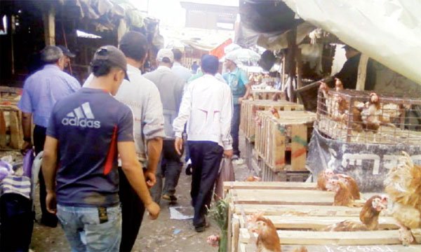 New wholesale poultry market soon operational
