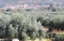 Les élèves d'Ifrane à l'école du respect de l'environnement