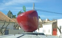 Le Festival de la pomme , une opportunité pour promouvoir la filière