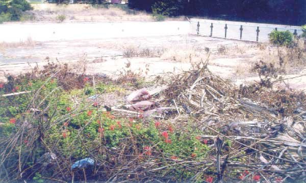 La piscina olímpica será rehabilitada pronto