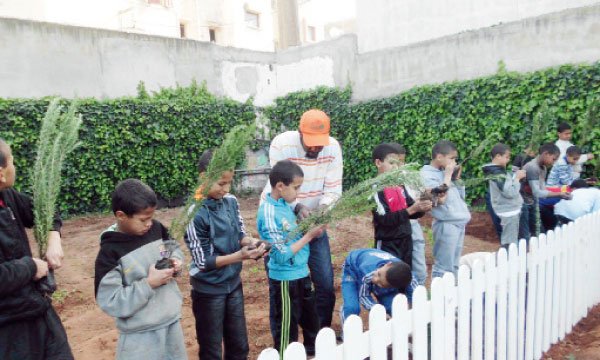 An organic space for the orphans of Dar Al Atfal Sidi Bernoussi