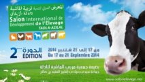 Une foire au service du secteur de l'élevage et des filières animales à Tadla Azilal