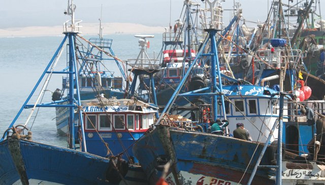 Région de Tétouan-Chefchaouen : interdiction de la récolte et de la commercialisation des coquillages issus d'Oued Laou-Kaa Asrass